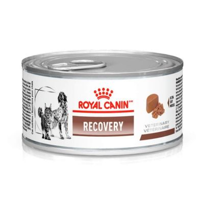 Recovery Royal Canin Veterinary Ração Lata Cães e Gatos 195 g