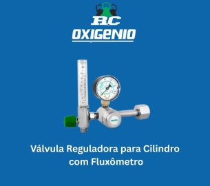 gases-industriais-d47670b8293ed70bda70bdf5be07e4d6-1750195610