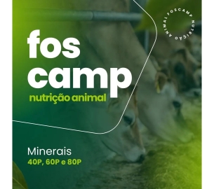 foscamp produtos(1920 x 1080 px)