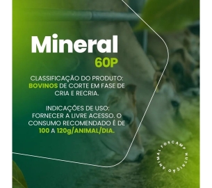 foscamp produtos(1920 x 1080 px) (1)