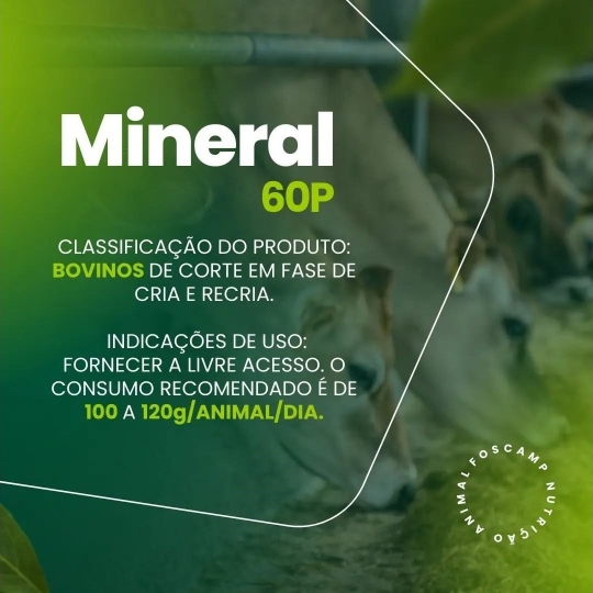 foscamp produtos(1920 x 1080 px) (1)