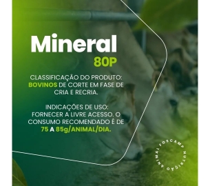 foscamp produtos(1920 x 1080 px) (3)