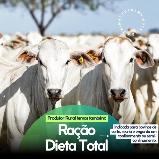 foscamp RAÇÃO DIETA TOTAL (1920 x 1080 px)