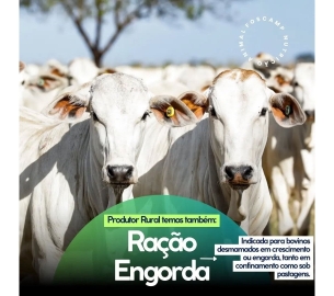 foscamp RAÇÃO ENGORDAs(1920 x 1080 px)