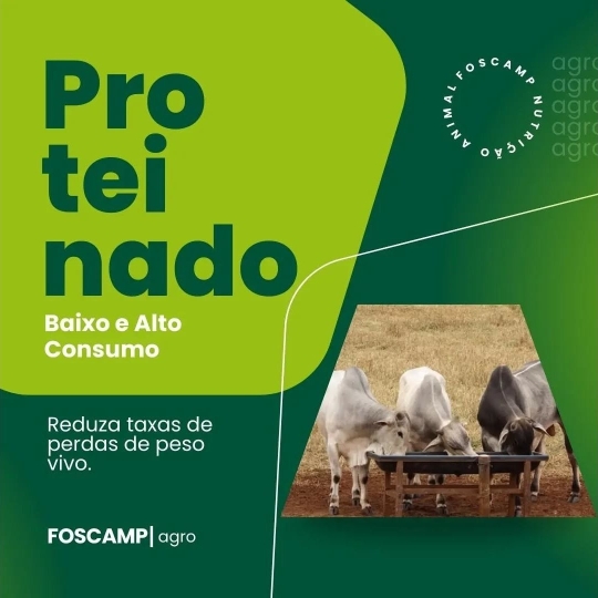 foscamp RAÇÃO PARA BEZERROS  (1920 x 1080 px) (2)