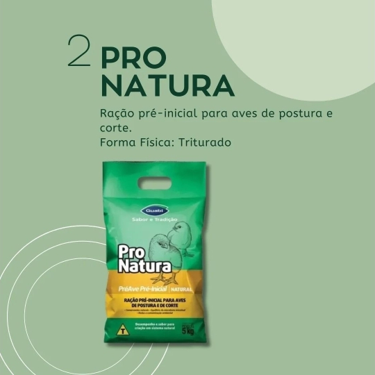 foscamp RAÇÃO PARA POSTURA (1920 x 1080 px)