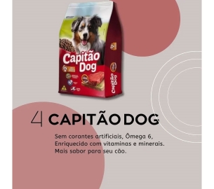 foscamp RAÇÃO PARACACHO CAPITÃO DOG (1920 x 1080 px)