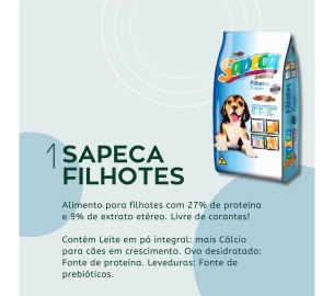 foscamp RAÇÃO PARACACHORRO SAPECA (1920 x 1080 px)