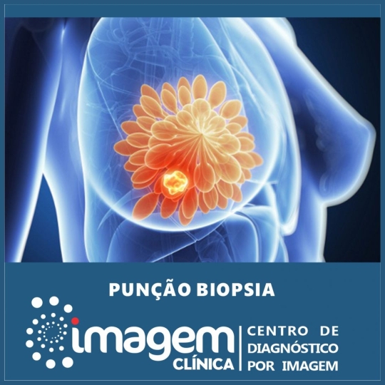 PUNÇÃO E BIOPSIA (1920 x 1080 px)