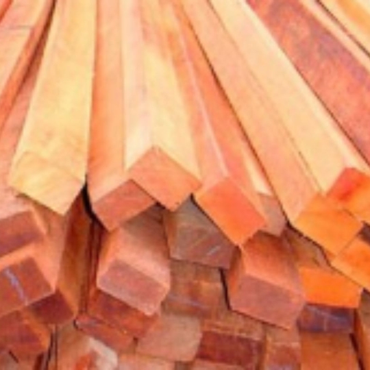 madeireira sao josé  (3)