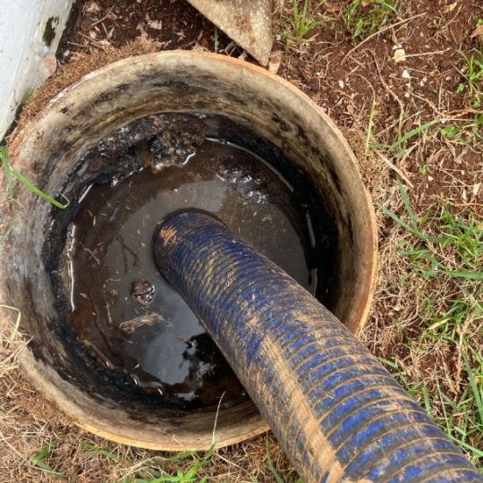 limpa-fossa-e8d1bb464798963ff32b5ccd7456a30b-1744142154